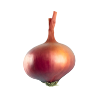 AI generated Shallots isolated on transparent background png