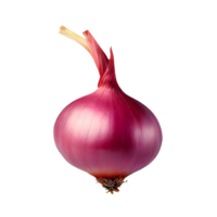 AI generated Shallots isolated on transparent background png