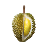 ai generiert Durian Obst isoliert auf transparent Hintergrund png