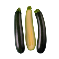 AI generated Fresh zucchini isolated on transparent background png