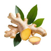 AI generated Fresh ginger rhizome and sliced with leaves permium isolated on transparent background png