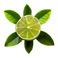 AI generated Fresh lime sliced with leaves isolated on transparent background png