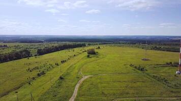 Beautiful scenery with low hills and valleys seen from above, with haze in the distance. Clip. Aerial view of green field with forest at summer time video