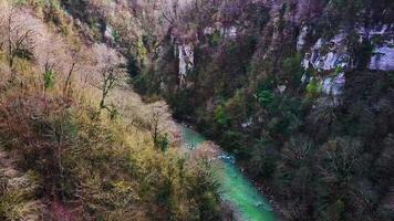 aéreo Visão vôo sobre uma Riacho, corrente enrolamento através uma floresta atrasado tarde, fechar para pôr do sol com lente flare. grampo. aéreo lindo montanha fluxo, rio cercado de verde árvores com cristal video