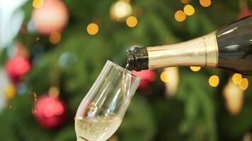 Close-up of champagne pouring into glasses, christmas tree on the background. Close-up of pouring champagne to glass beside christmas tree video