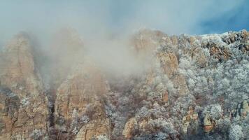 View of mountain peaks in clouds covered by frozen small trees and shrubs agains blue sky. Shot. Amazing mountain view. video