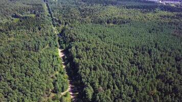 Aerial view of unlimited space of forest plain and cars which are riding on highway. Clip. Road in the autumn forest aerial view. aerial view over road between forests video