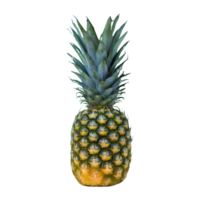 ai generado piña aislado en transparente antecedentes png