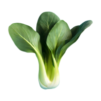 AI generated Pok choi isolated on transparent background png