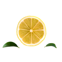 AI generated Fresh lemon sliced isolated on transparent background png