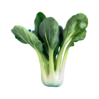 AI generated Pok choi isolated on transparent background png