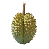 ai generado Durian Fruta aislado en transparente antecedentes png