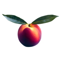 AI generated Nectarine with leaves isolated on transparent background png