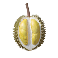 ai generiert Durian Obst isoliert auf transparent Hintergrund png