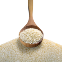 AI generated White sesame seeds in a wooden spoon isolated on transparent background png