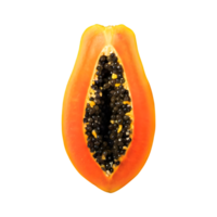 ai generiert reif Papaya geschnitten isoliert auf transparent Hintergrund png