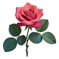 AI generated Rose with leaves isolated on transparent background png