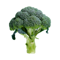 AI generated Fresh broccoli with drops isolated on transparent background png