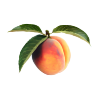 AI generated Peach with leaves isolated on transparent background png