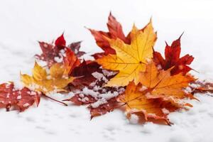 AI generated Autumn leafage on snowy surface. Generate ai photo