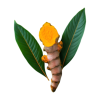 AI generated Fresh turmeric with leaves isolated on transparent background png