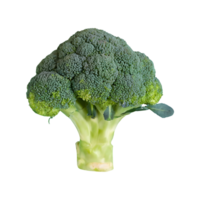 ai généré Frais brocoli Haut vue isolé sur transparent Contexte png