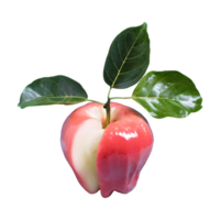 AI generated Fresh rose apple with leaves isolated on transparent background png