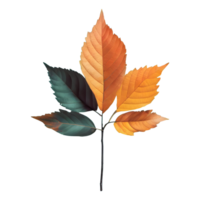 ai généré feuilles Couleur changement isolé sur transparent Contexte png