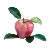 AI generated Fresh rose apple with leaves isolated on transparent background png