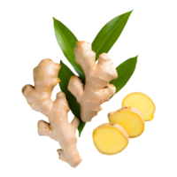 AI generated Fresh ginger rhizome and sliced with leaves isolated on transparent background png