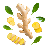 AI generated Fresh ginger rhizome and sliced with leaves isolated on transparent background png