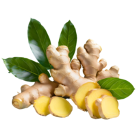 AI generated Fresh ginger rhizome and sliced with leaves isolated on transparent background png