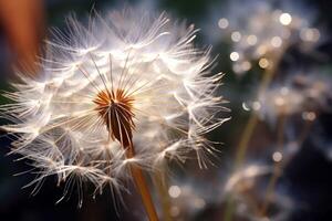 AI generated Medicinal Dandelion plant. Generate Ai photo