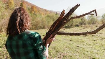 Follow shot of young woman with wood for camp fire. Camping tent. video