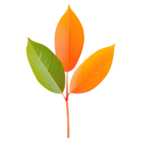 AI generated Leaves color change isolated on transparent background png