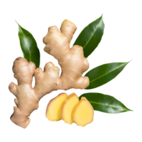 AI generated Fresh ginger rhizome and sliced with leaves isolated on transparent background png