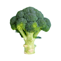 AI generated Fresh broccoli top view isolated on transparent background png