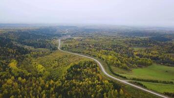 Aerial view of unlimited space of forest plain and cars which are riding on highway. Clip. Road in the autumn forest aerial view. aerial view over road between forests video