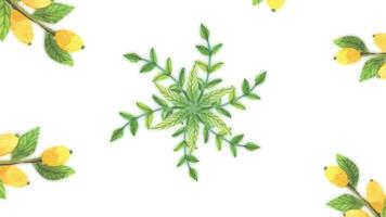 Animation of growing flowers, floral background, blooming flowers, botanical pattern. Decorative transition with growing pains flowers. growing flowers frame video