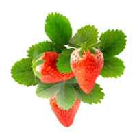 ai generiert frisch Erdbeeren mit Blätter isoliert auf transparent Hintergrund png