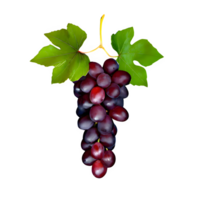 AI generated Red grape with leaves isolated on transparent background png