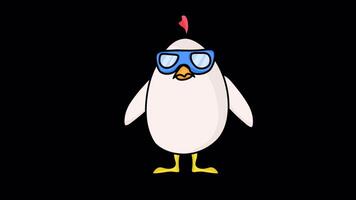 Funny Cartoon Character Hen Looking Around Cool Style On Alpha Channel video