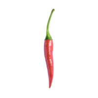 ai généré Frais Chili isolé sur transparent Contexte png