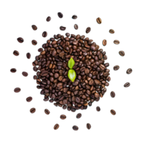 ai gegenereerd koffie bonen met bladeren geïsoleerd Aan transparant achtergrond png