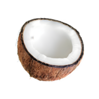 ai gegenereerd kokosnoot geïsoleerd Aan transparant achtergrond png