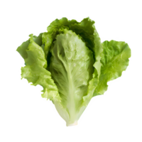 ai generado Fresco lechuga aislado en transparente antecedentes png