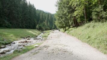 People walking on the road in a beautiful green forest. Mountain river. video