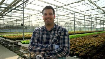 Young agronomist in a greenhouse with growing green salad. Farm workers in the background harvesting. video