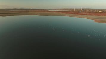 Aerial view of smooth dark water surface, birds and lake shore with windmills on a background. Shot. Beautiful morning landscape. video