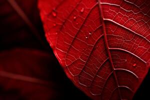 AI generated Autumnal Macro leaf red. Generate Ai photo